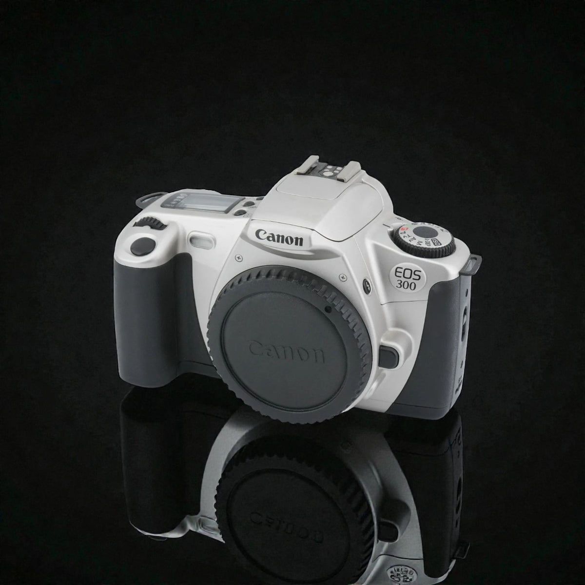 Canon EOS 300
