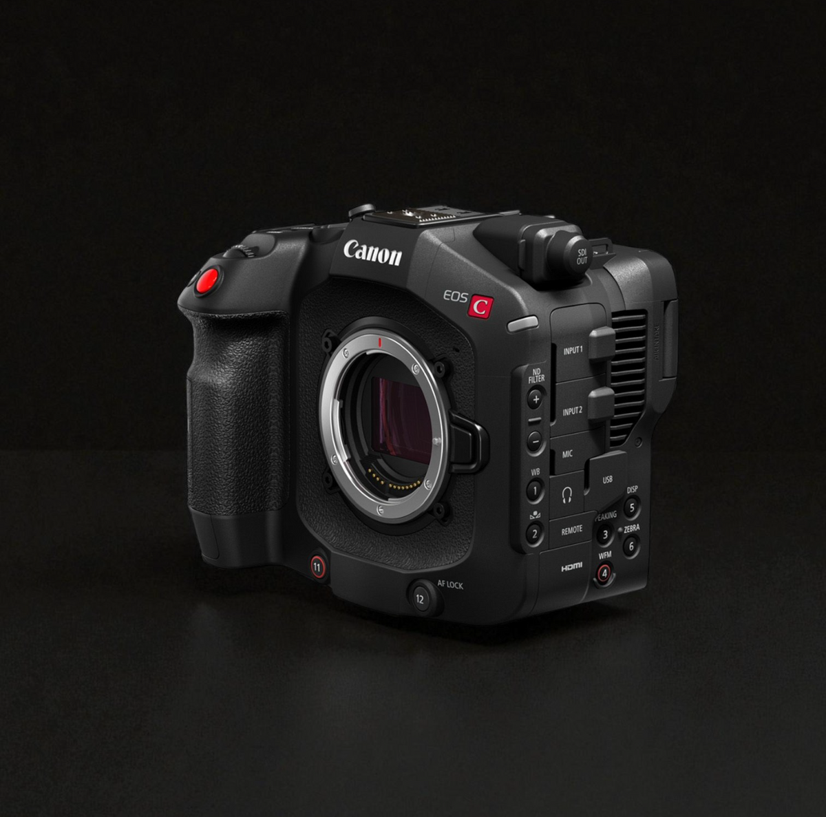 Canon EOS C80