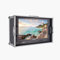 Monitor SEETEC 17.3''