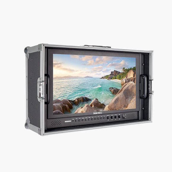 Monitor SEETEC 17.3''